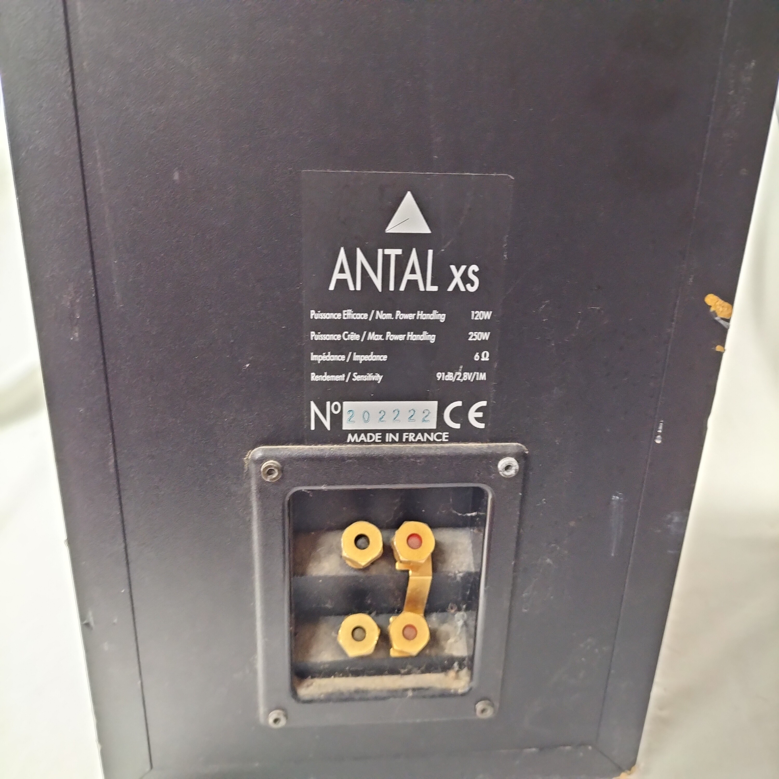 🔊 Paire d’enceintes colonnes Triangle Antal XS – Haut de gamme audiophile 🎼 Bon état - Vue 5 - 